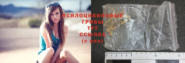 сатива Абинск