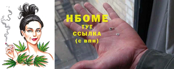 сатива Абинск