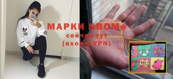 сатива Абинск