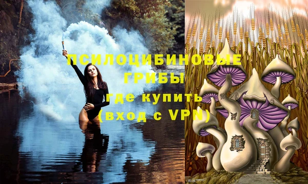 сатива Абинск