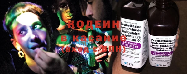 сатива Абинск