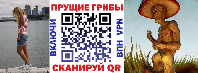 Галлюциногенные грибы Magic Shrooms  Кедровый 